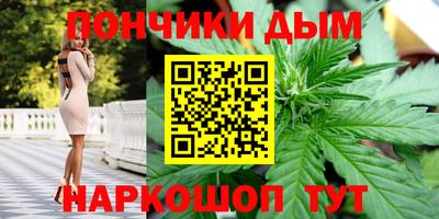 индика Дубна