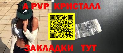 индика Дубна