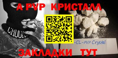 индика Дубна