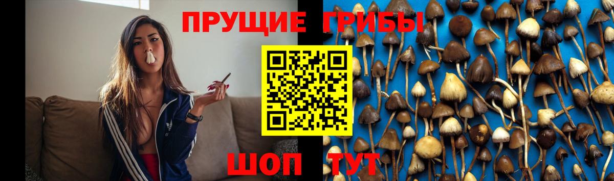 Псилоцибиновые грибы GOLDEN TEACHER  Вход с VPN  Кунгур 